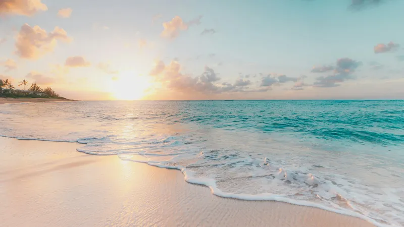 Honey and Bali Sunshine: What New Research Says About Multifloral Honey and Your Skin