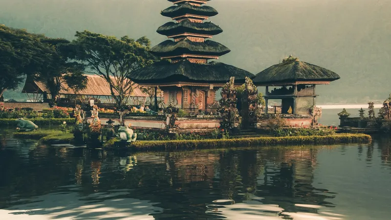 Where to Pick Up Go Wild Honey in Bali